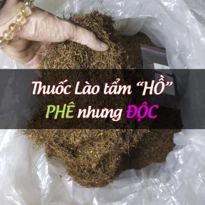 Thuốc lào hồ tẩm phê nhưng hút độc